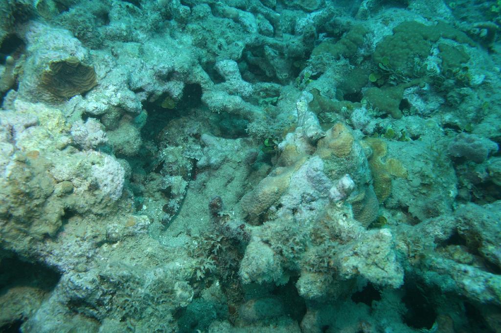 2008-05-17 17-28-35 H.JPG